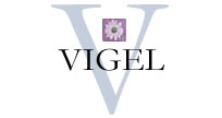 Vigel - female enhancement gel